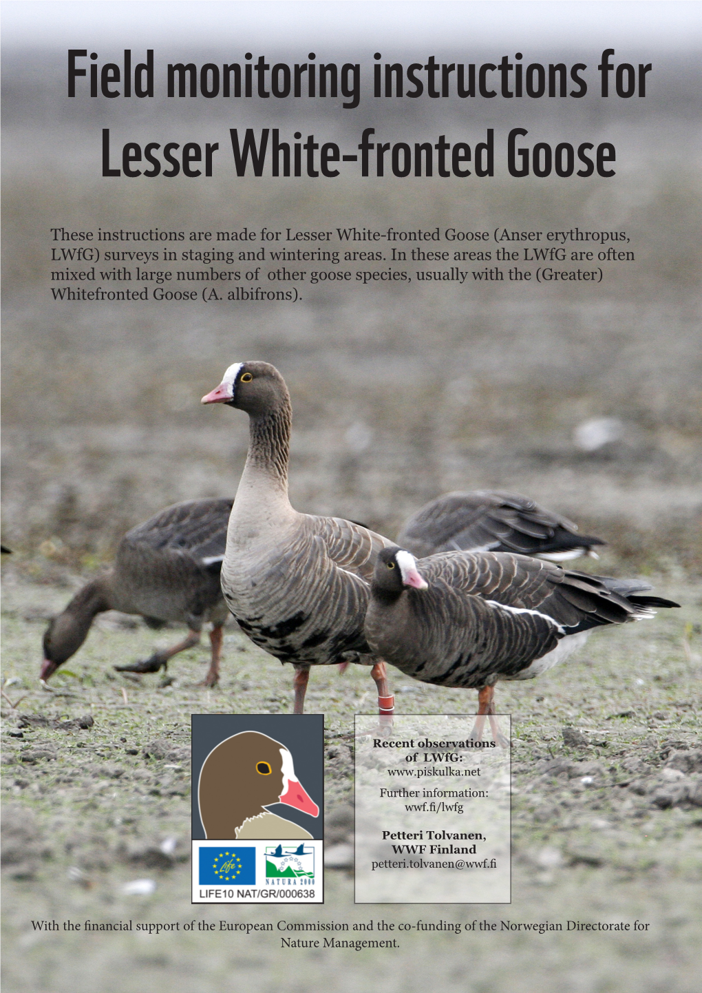 Field Monitoring Instructions for Lesser White-Fronted Goose