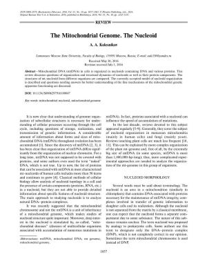 The Mitochondrial Genome. the Nucleoid