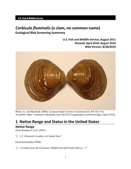 Corbicula Fluminalis (A Clam, No Common Name) Ecological Risk Screening Summary