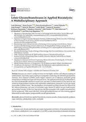 Leloir Glycosyltransferases in Applied Biocatalysis: a Multidisciplinary Approach