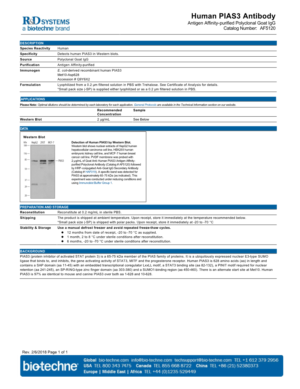 Human PIAS3 Antibody Antigen Affinity-Purified Polyclonal Goat Igg Catalog Number: AF5120