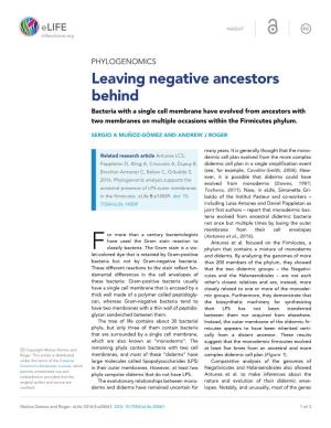 Leaving Negative Ancestors Behind