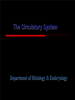 The Circulatory System