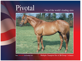 Pivotal One of the World’S Leading Sires 1 Ch 1993, 16.2 ⁄2Hh (1.69M)