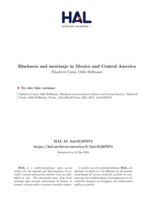Blackness and Mestizaje in Mexico and Central America Elisabeth Cunin, Odile Hoffmann