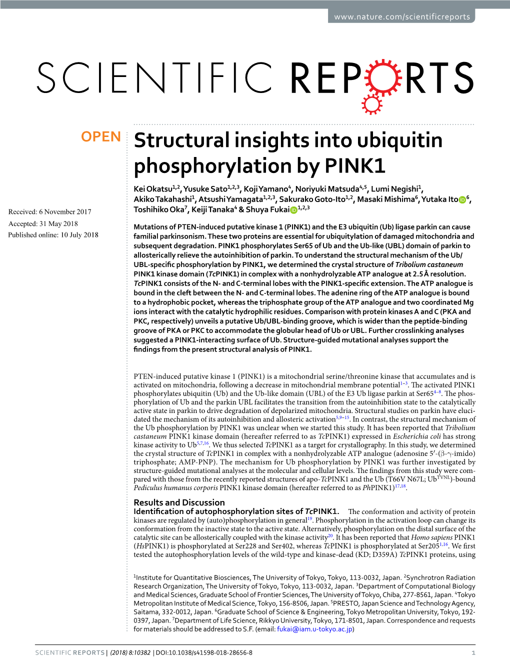 Structural Insights Into Ubiquitin Phosphorylation by PINK1