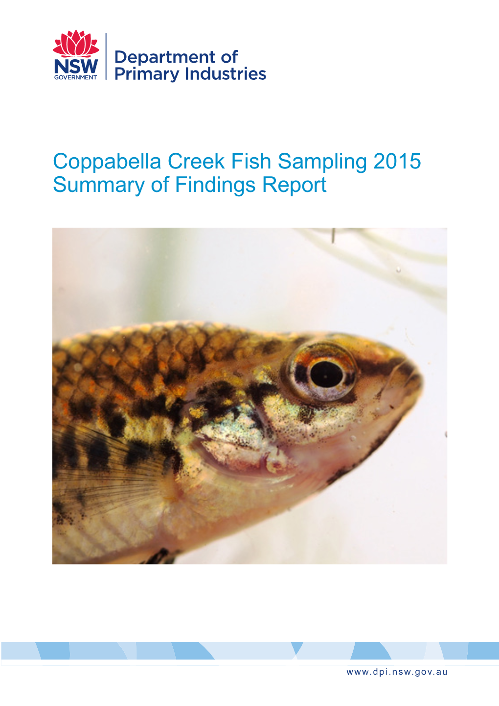 Coppabella Creek Fish Sampling 2015 Summary of Findings Report