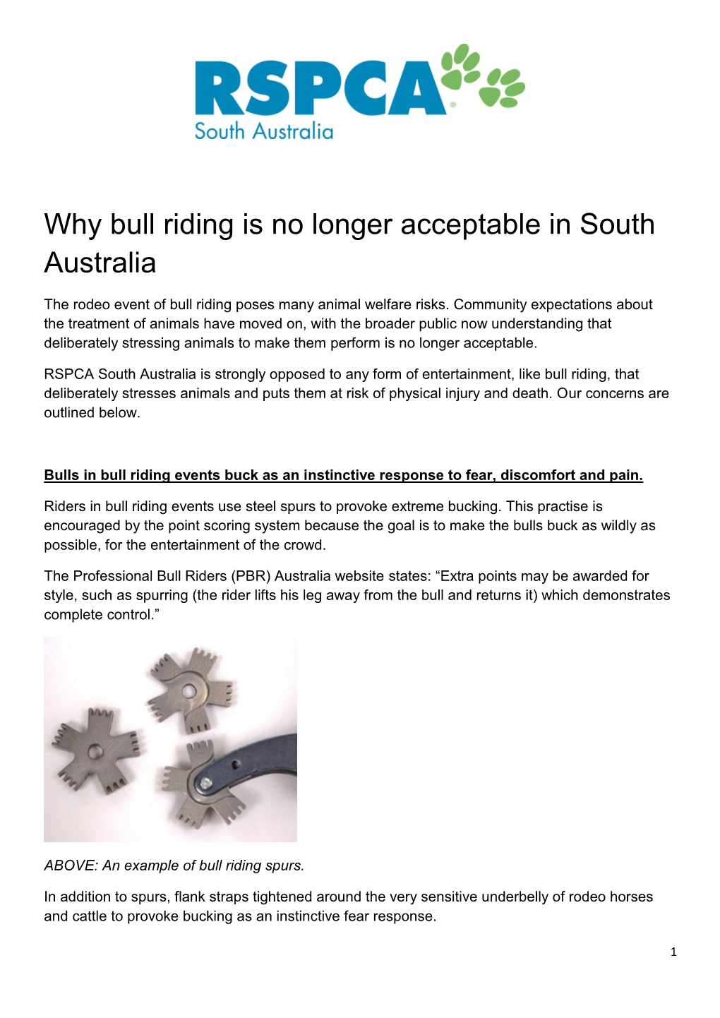 Why Bull Riding Is No Longer Acceptable in South Australia