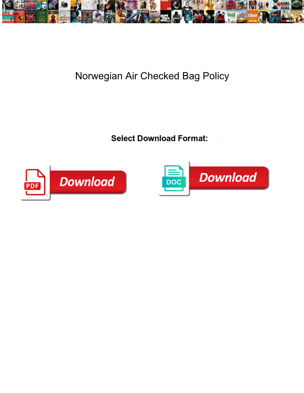 Norwegian Air Checked Bag Policy