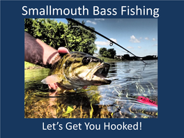 How-To Catch a Smallmouth Bass