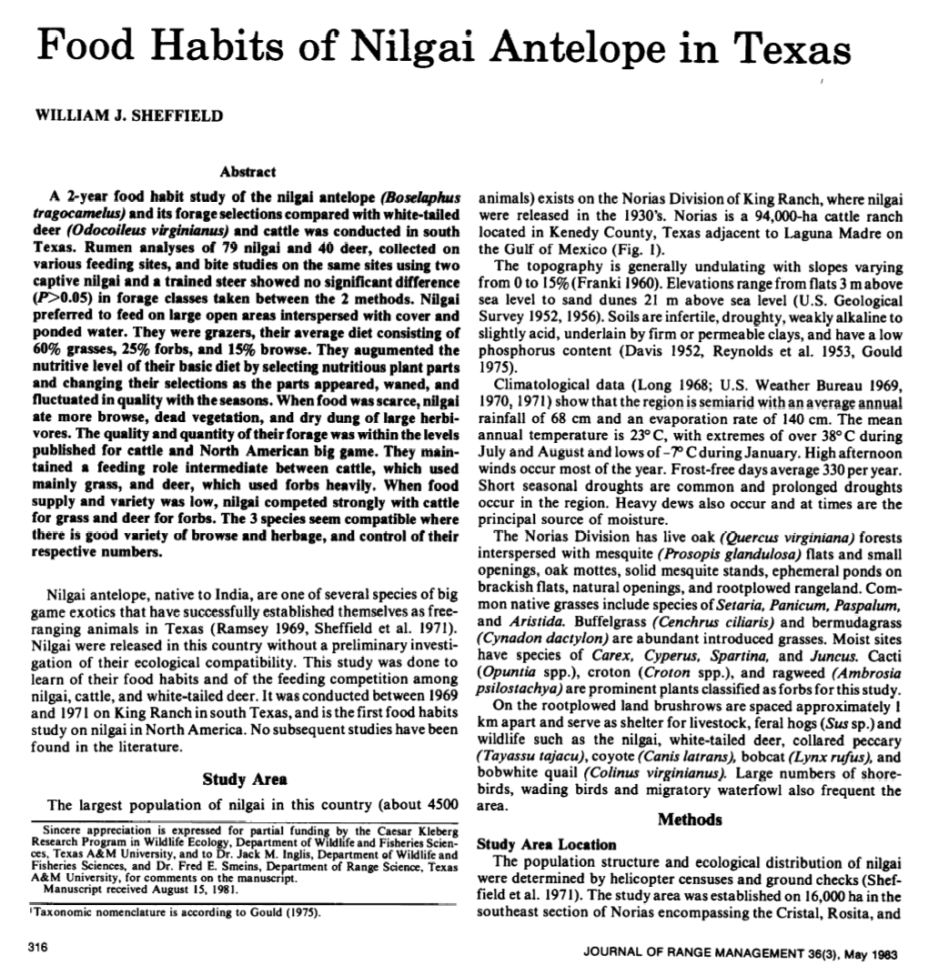 Food Habits of Nilgai Antelope in Texas