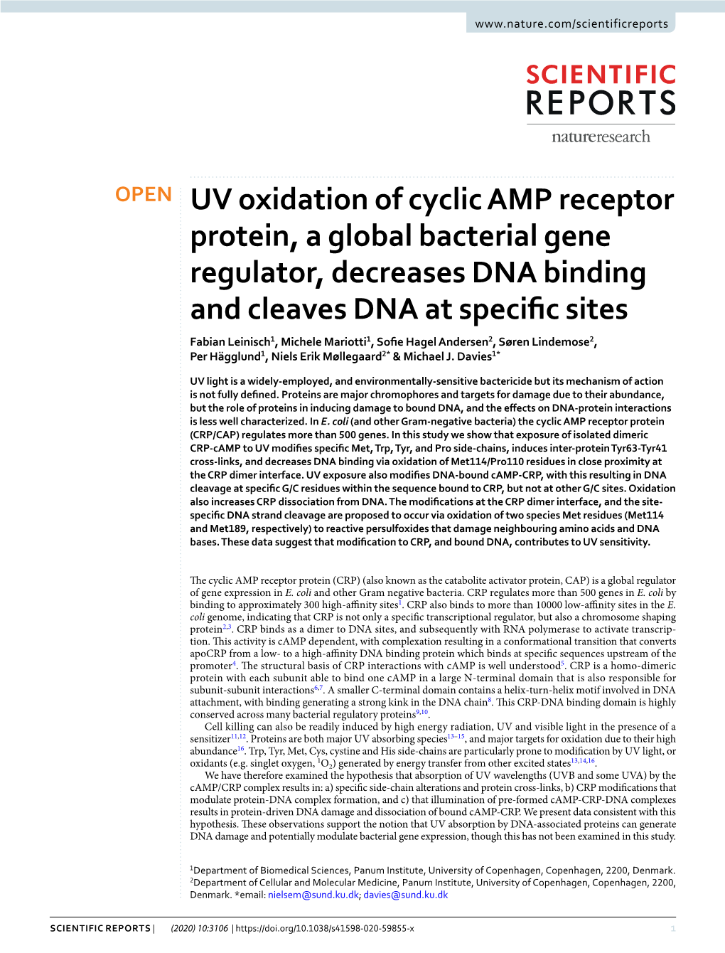 UV Oxidation of Cyclic AMP Receptor Protein, a Global Bacterial Gene