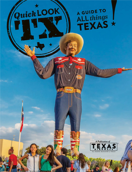 Quick LOOK TX | 1 SIX