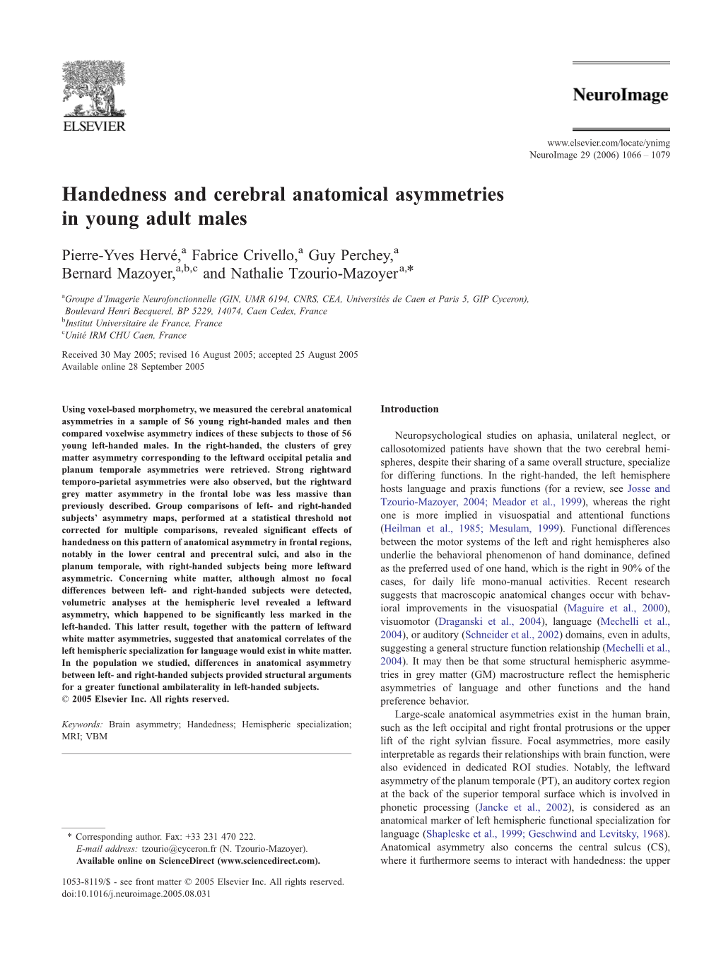 Handedness and Cerebral Anatomical Asymmetries in Young Adult Males