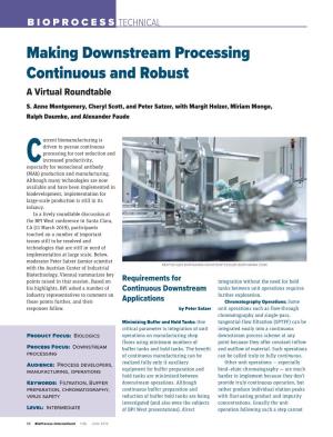 Making Downstream Processing Continuous and Robust a Virtual Roundtable S