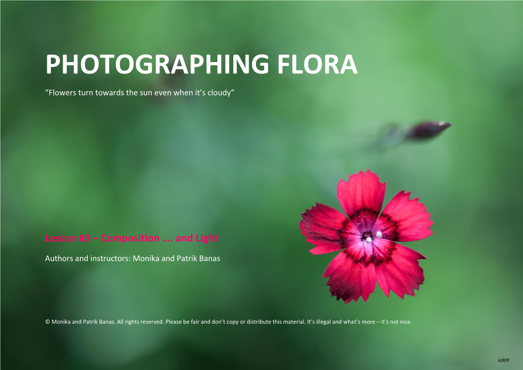 Photographing Flora | Lesson 3