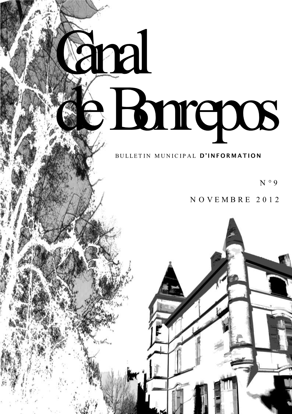 NOVEMBRE 2012 P a G E 2 Canal De Bonrepos N°9
