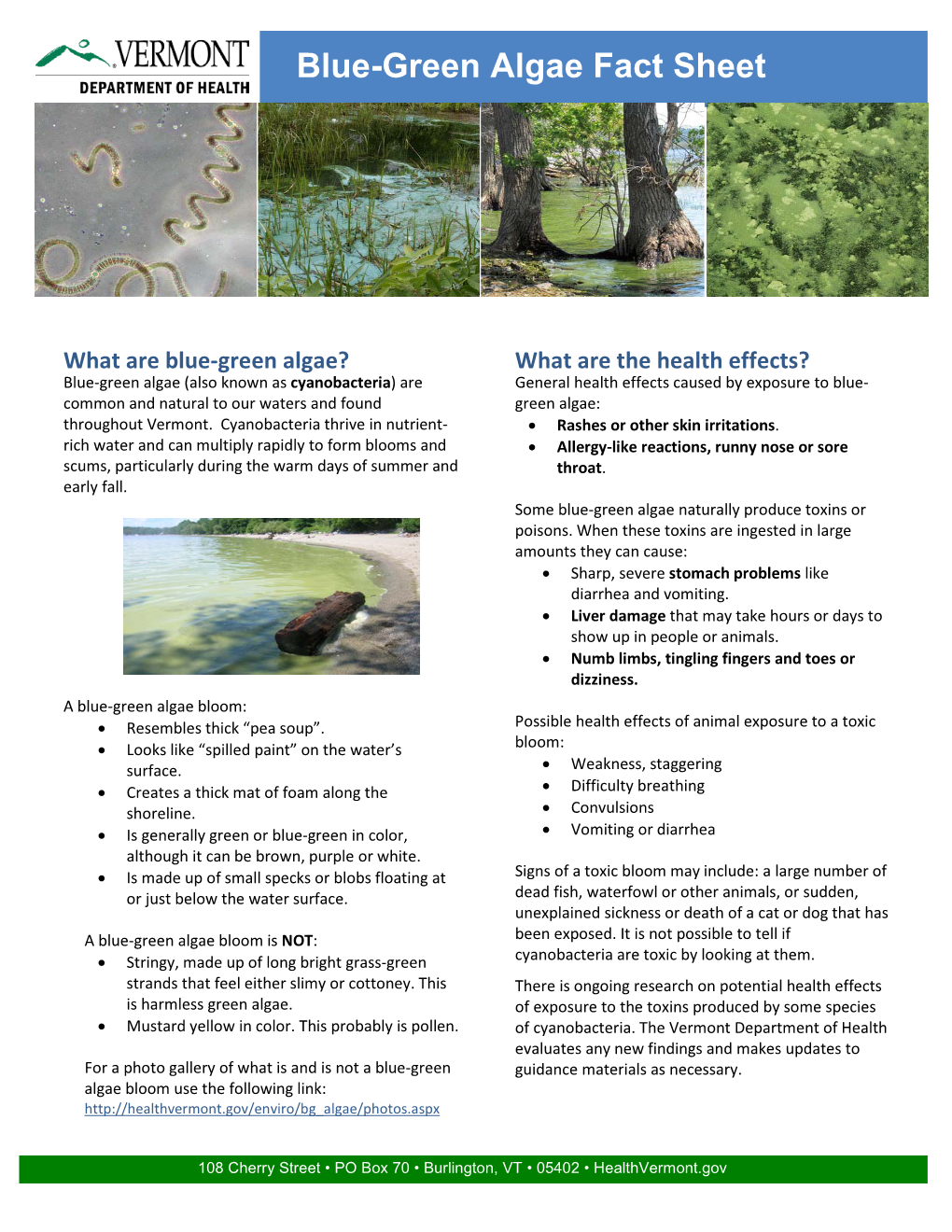 Blue-Green Algae Fact Sheet