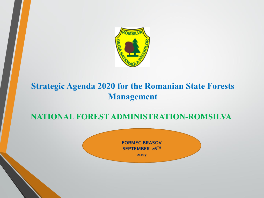 Strategic Agenda 2020 for the Romanian State Forests Management