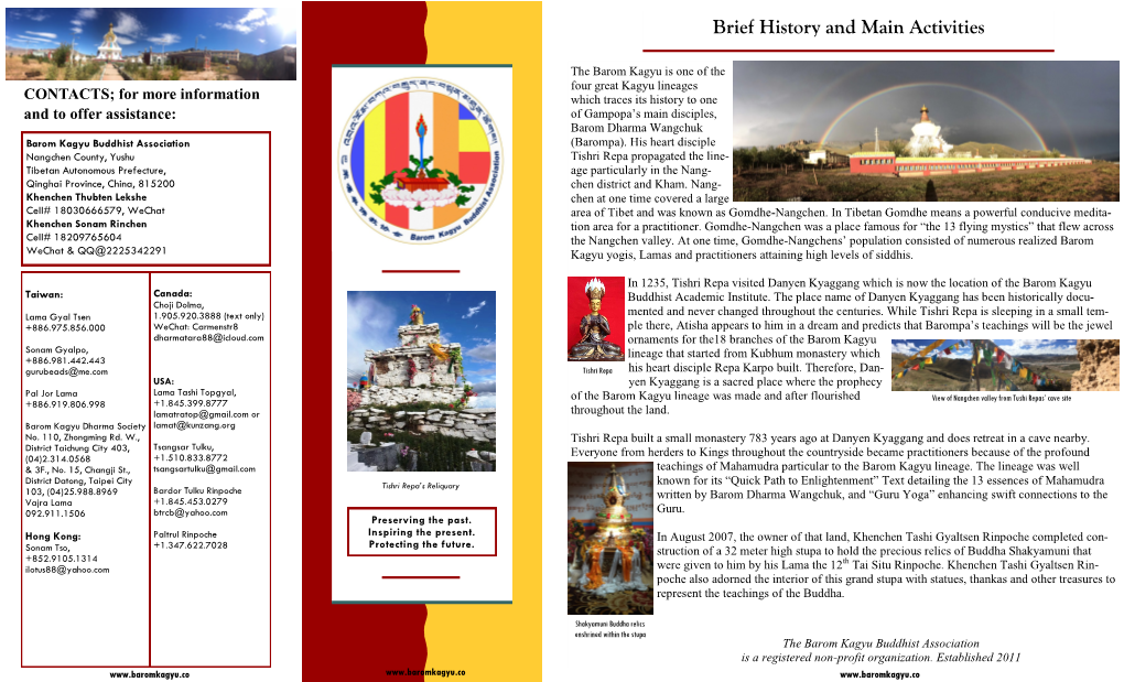 Brief History and Main Activities