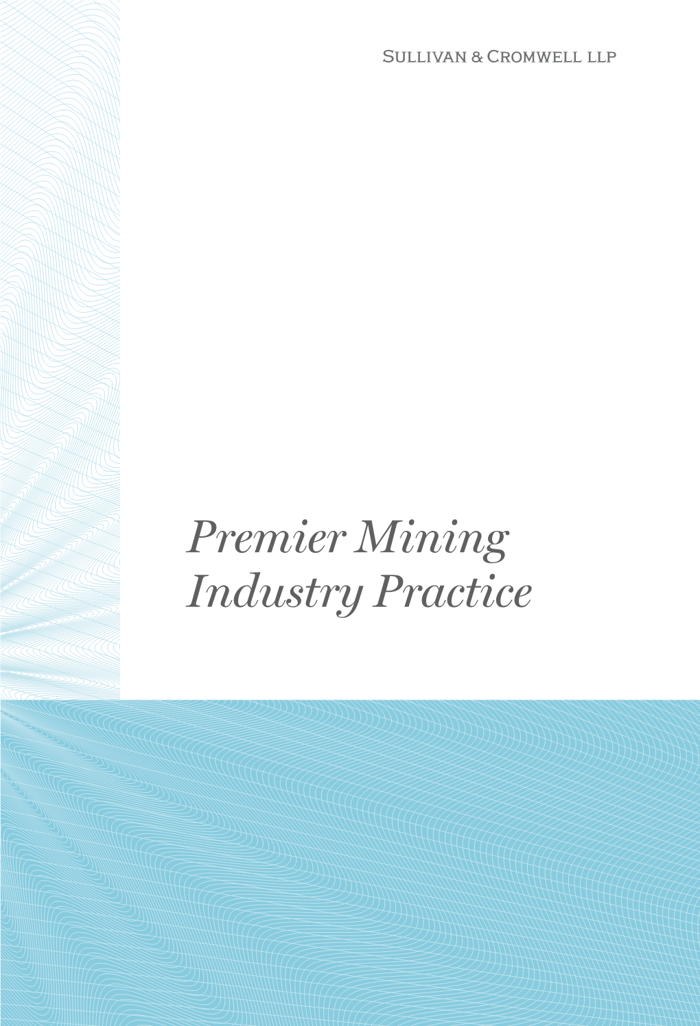 Premier Mining Industry Practice