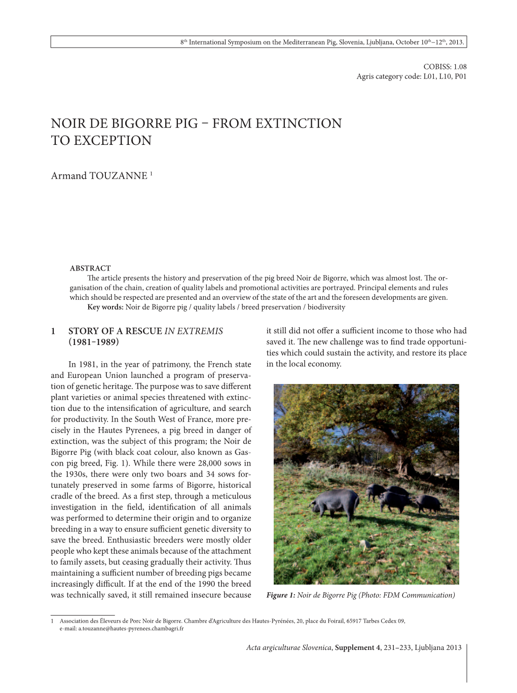 Noir De Bigorre Pig – from Extinction to Exception