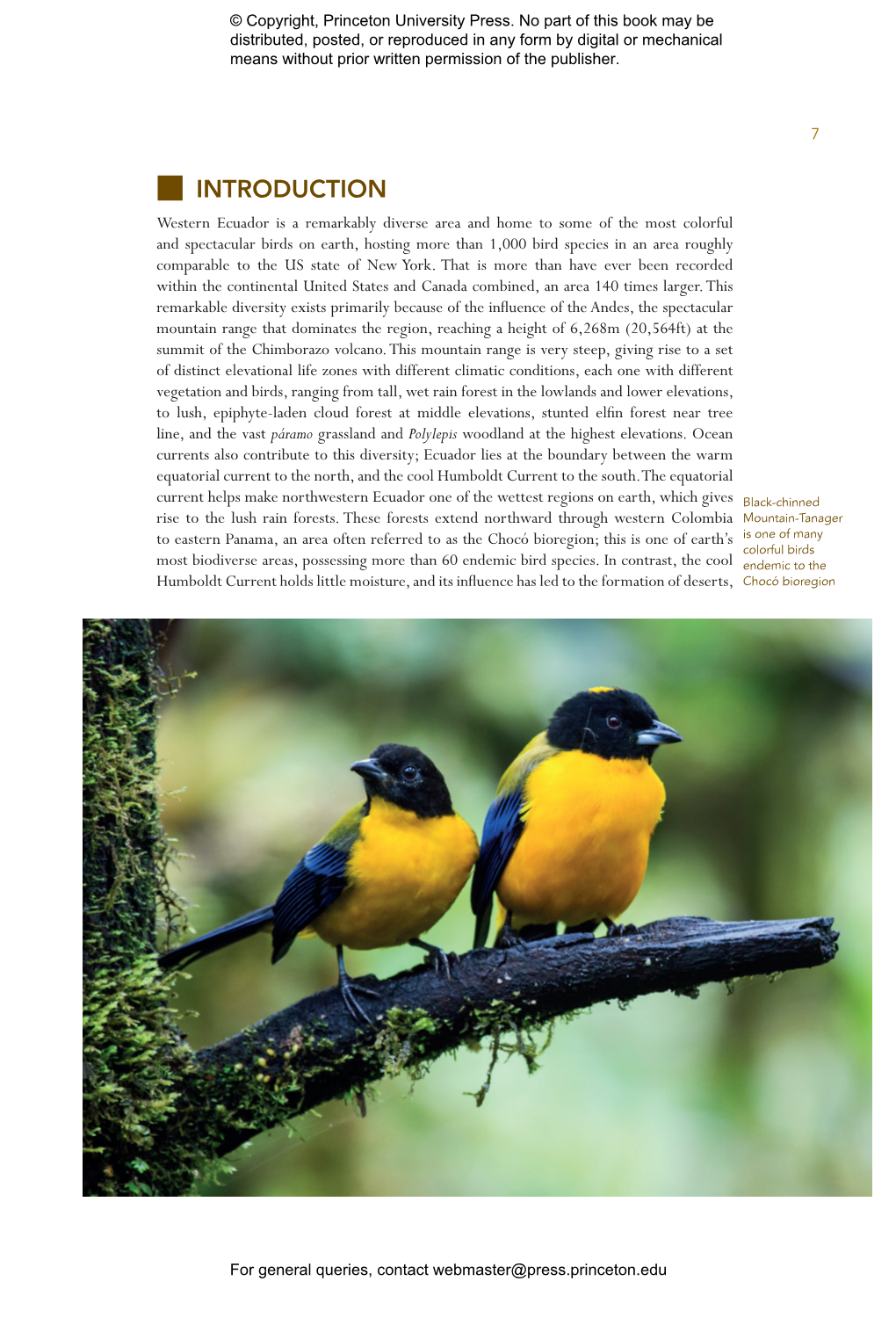 Birds of Western Ecuador
