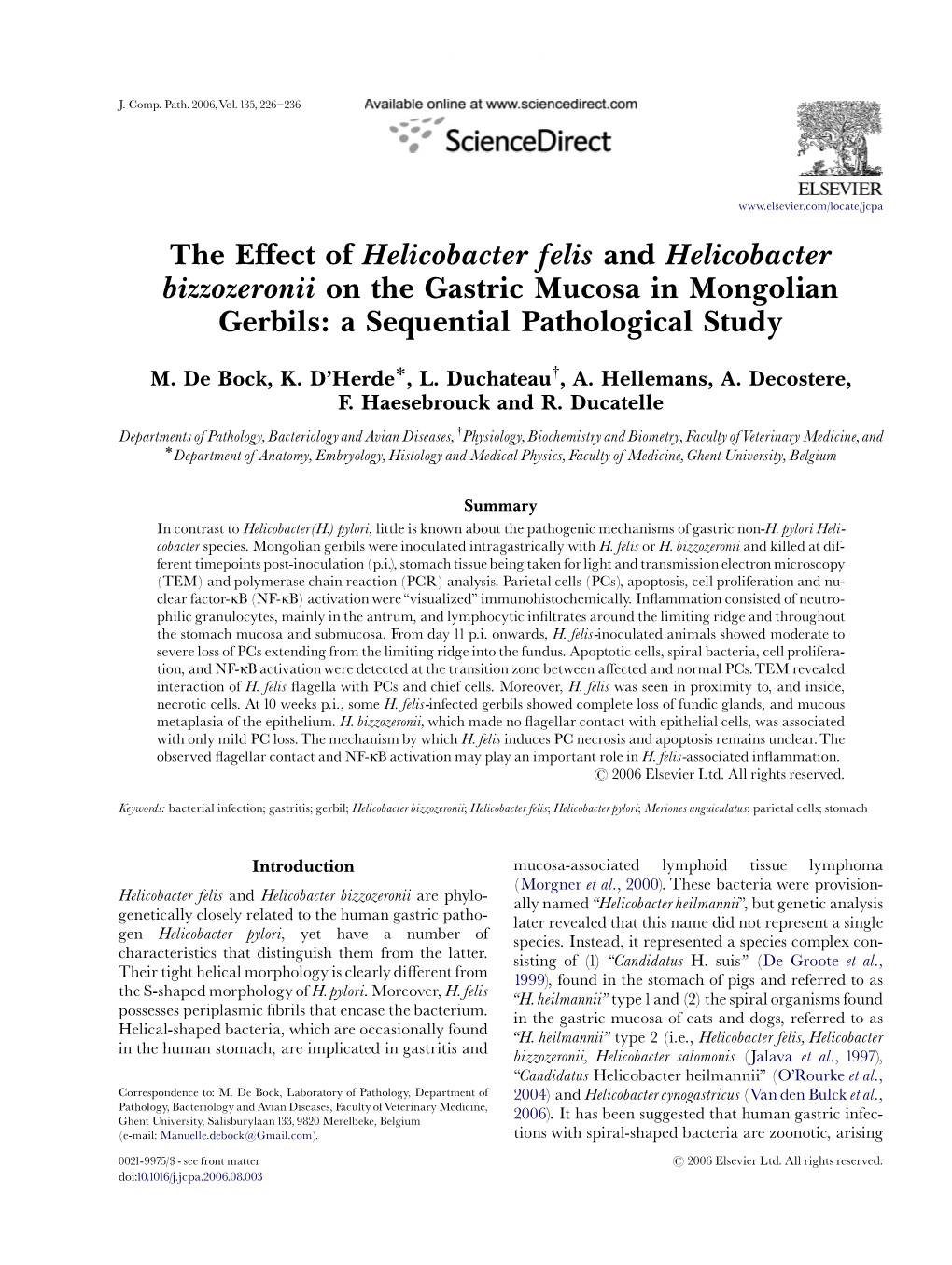 The Effect of Helicobacter Felis and Helicobacter Bizzozeronii on the Gastric Mucosa in Mongolian Gerbils: a Sequential Pathological Study