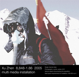 Xu Zhen 8848-1.86 2005 Multi Media Installation