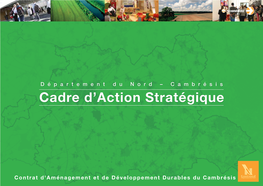 Cadre D'action Stratégique