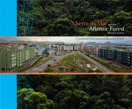 Serra Do Mar Atlantic Forest