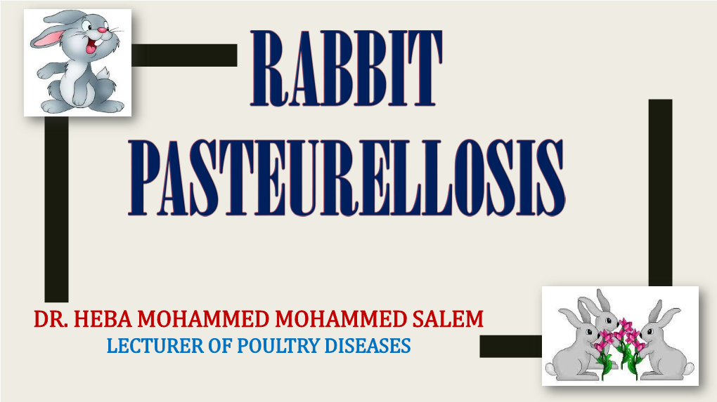 Rabbit PASTEURELLOSIS
