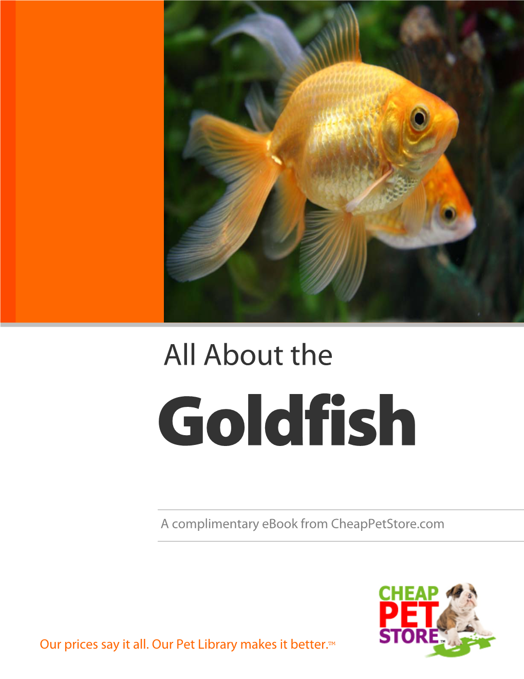 About the Goldfish