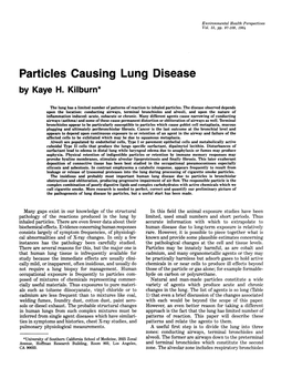 Particles Causing Lung Disease by Kaye H