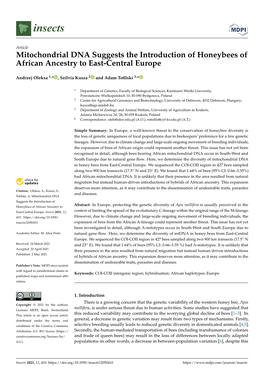 Mitochondrial DNA Suggests the Introduction of Honeybees of African Ancestry to East-Central Europe