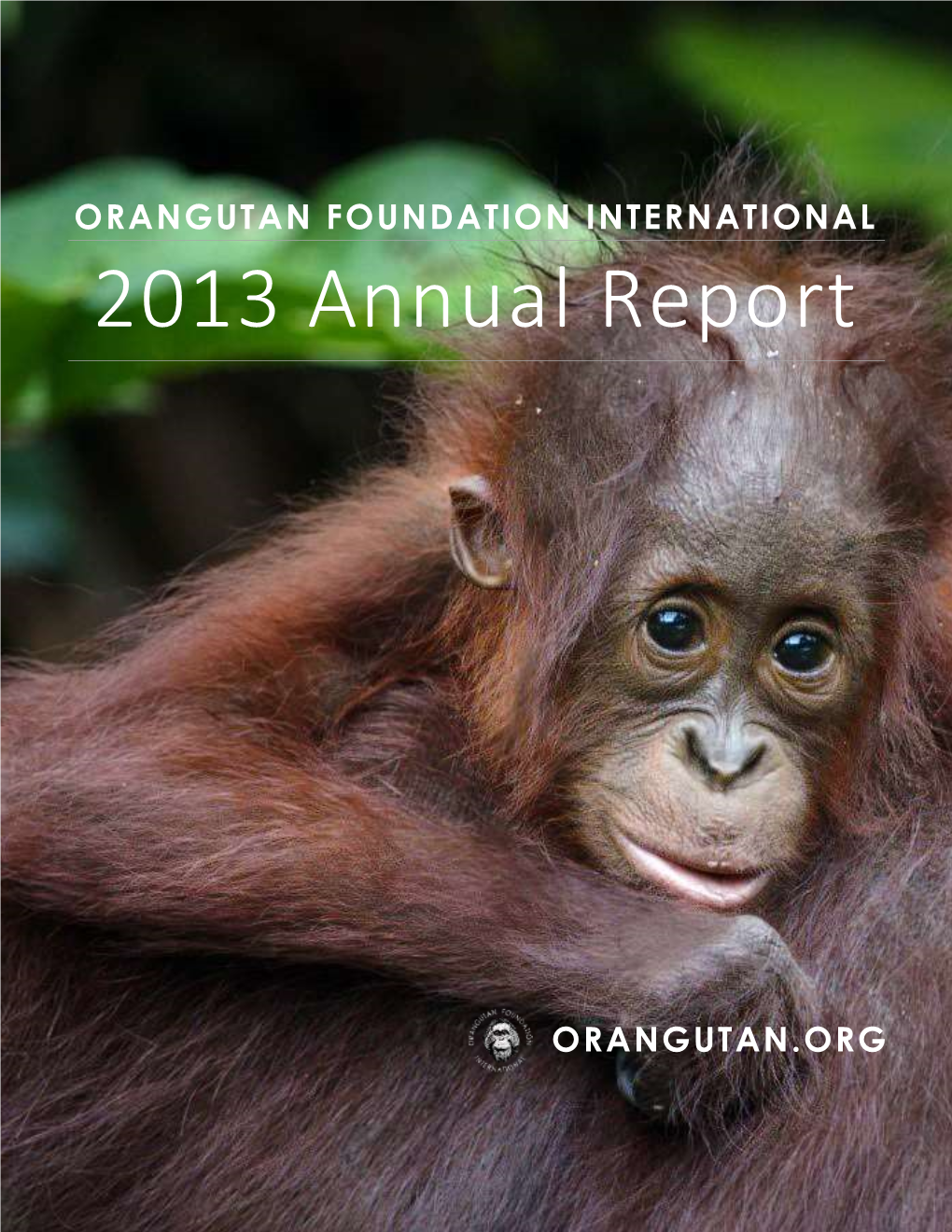 OFI's 2013 Annual Report