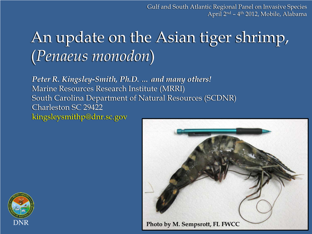 An Update on the Asian Tiger Shrimp, (Penaeus Monodon)