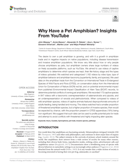 Why Have a Pet Amphibian? Insights from Youtube