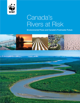 Canada's Rivers at Risk