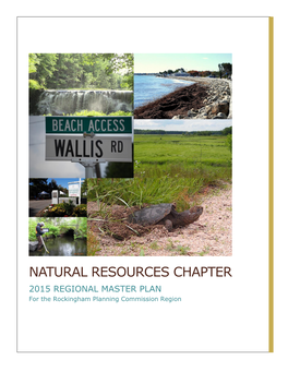 NATURAL RESOURCES CHAPTER 2015 REGIONAL MASTER PLAN for the Rockingham Planning Commission Region