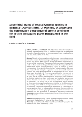 (Quercus Cerris, Q. Frainetto, Q. Robur) and the Optimization Perspective of Growth Conditions for in Vitro Propagated Plants Transplanted in the Field