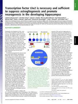 Transcription Factor Lhx2 Is Necessary and Sufficient to Suppress