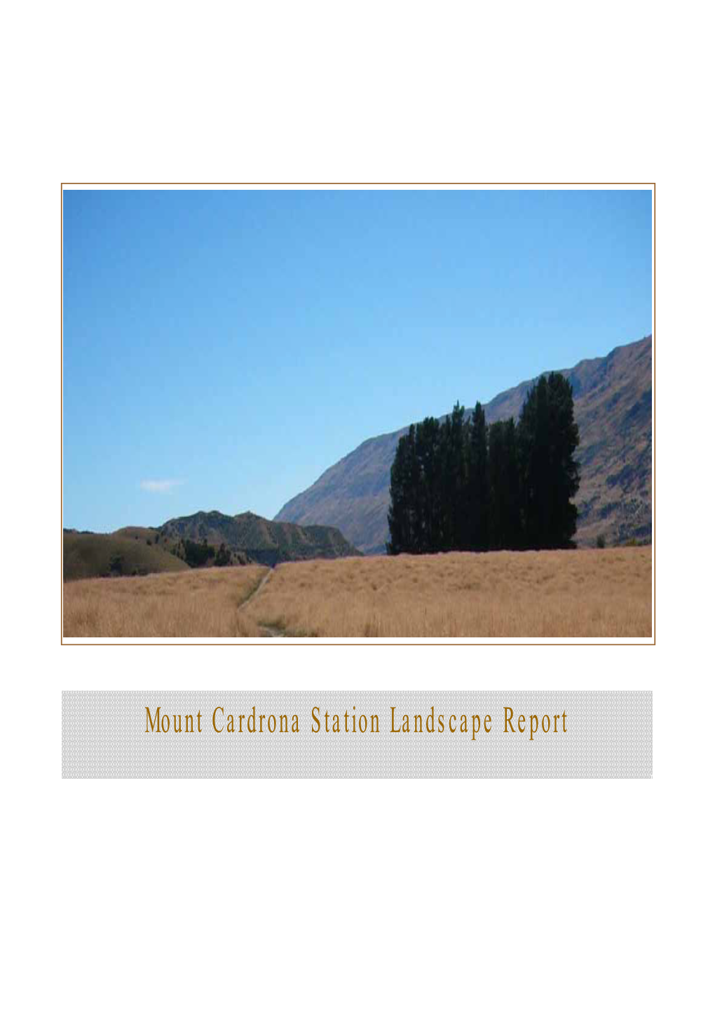 Mount Cardrona Station Landscape Report CONTENTS EXECUTIVE SUMMARY