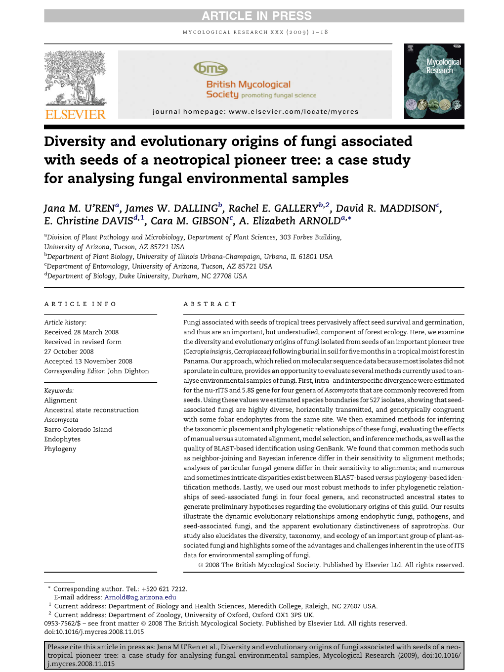 Diversity and Evolutionary Origins of Fungi Associated with Seeds of a Neotropical Pioneer Tree: a Case Study for Analysing Fungal Environmental Samples