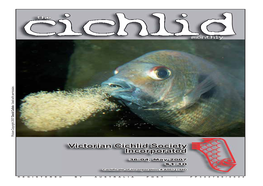 Victorian Cichlid Society Incorporated