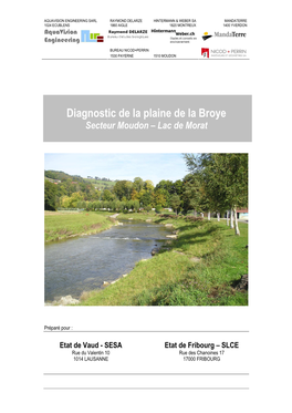 Diagnostic De La Plaine De La Broye Secteur Moudon – Lac De Morat