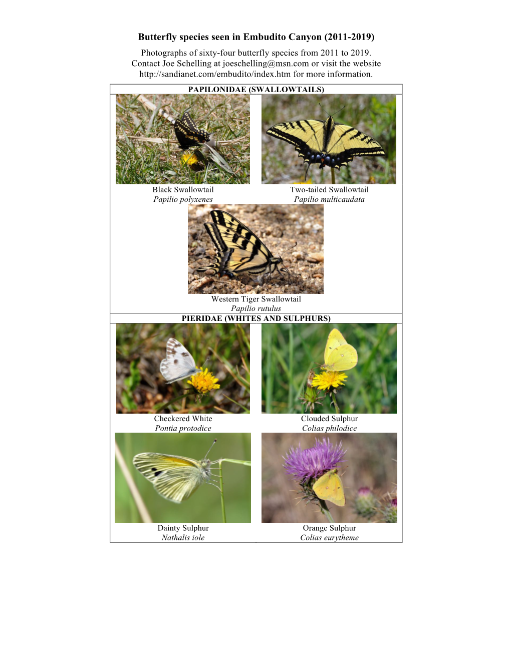 Butterfly Species Seen in Embudito Canyon (2011-2019) Photographs of Sixty-Four Butterfly Species from 2011 to 2019