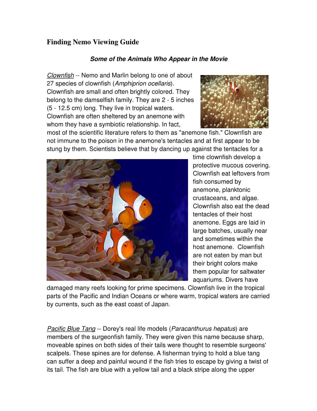 finding-nemo-viewing-guide-docslib