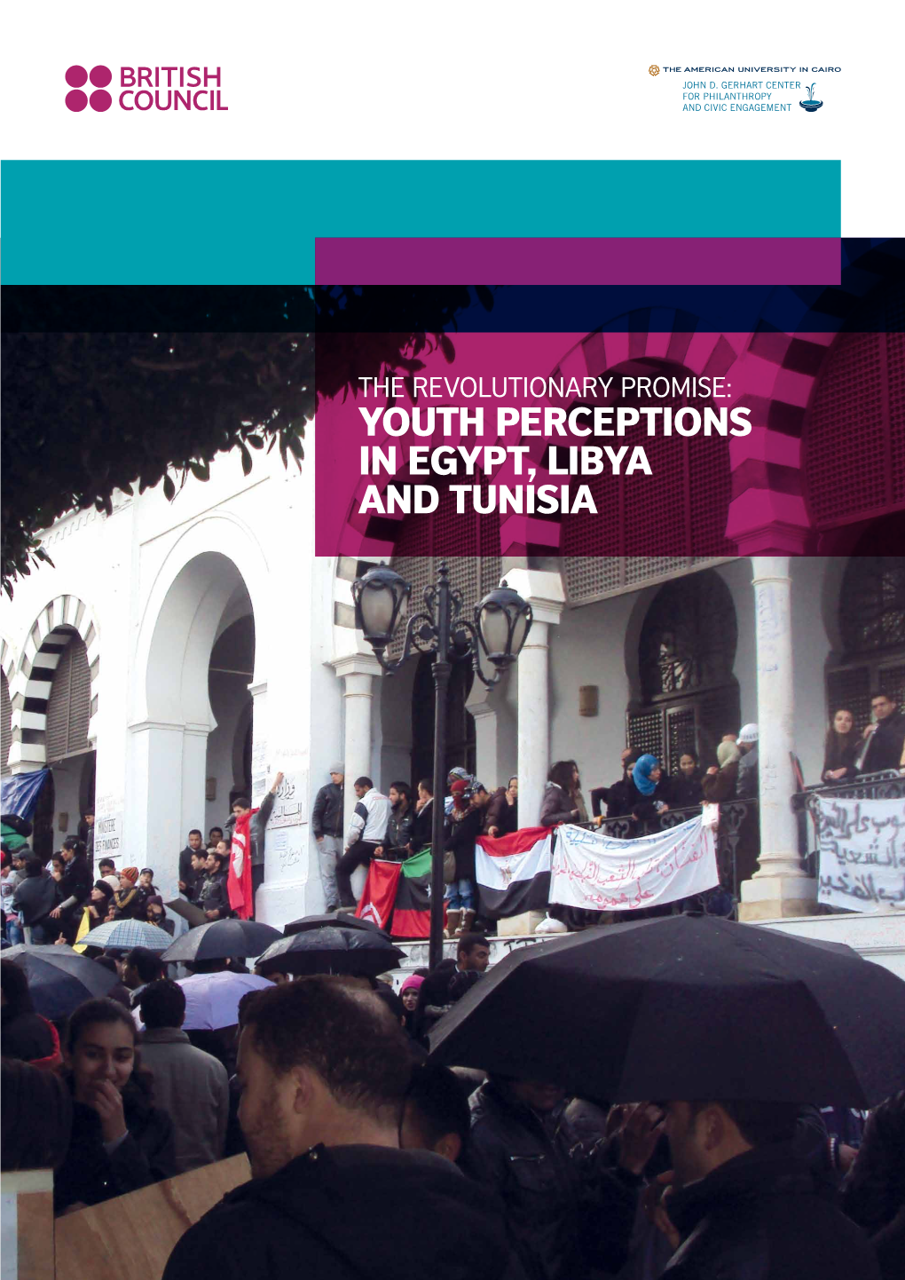 YOUTH PERCEPTIONS in EGYPT, LIBYA and TUNISIA About the Partners