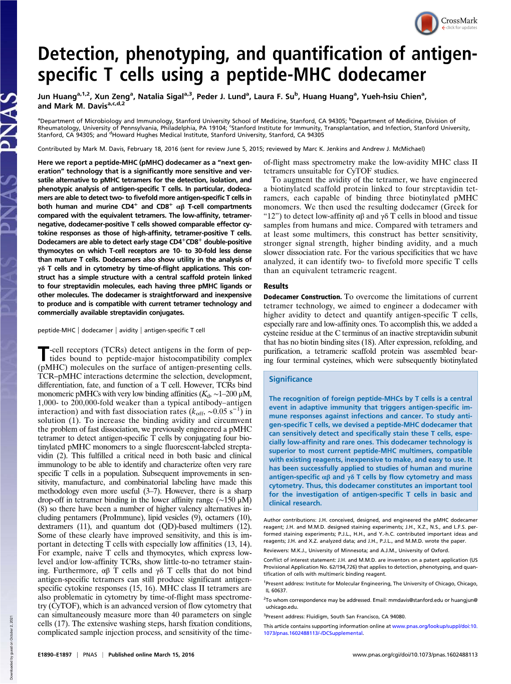 Specific T Cells Using a Peptide-MHC Dodecamer